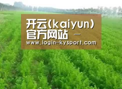 种植基地四