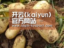 产品展示标题2