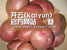 产品展示标题1