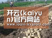 种植基地八