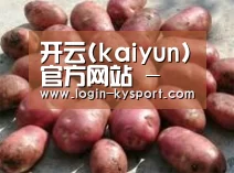 产品展示标题5(图1)