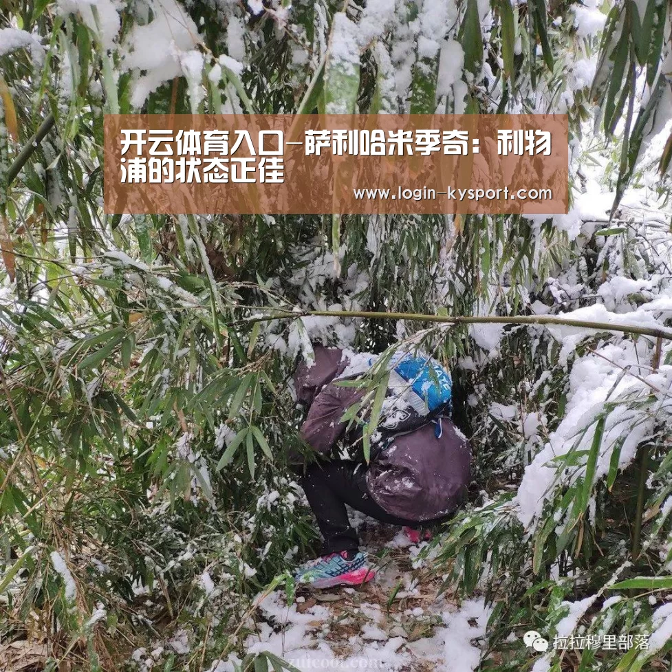 开云入口