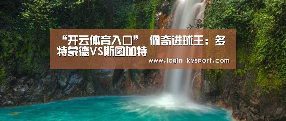 开云入口